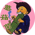 云南牛肝菌