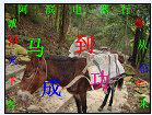 阿滨电器行