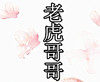 老虎哥哥百货
