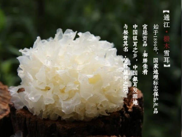 通江农家土特产