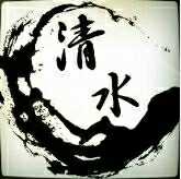 清水科技SSD