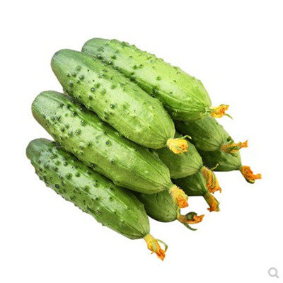 山东寿信种业