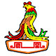 凤凰奇扬专卖店 店铺LOGO