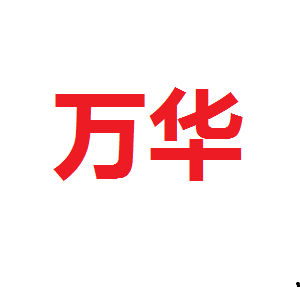 万华电子科技信息有限公司
