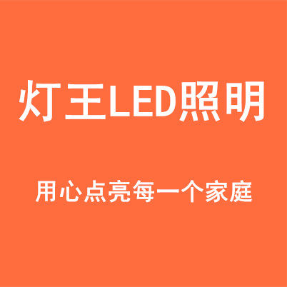 佛山灯王LED照明