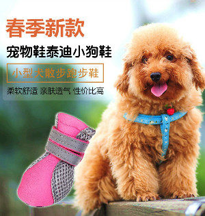 华创宠物用品