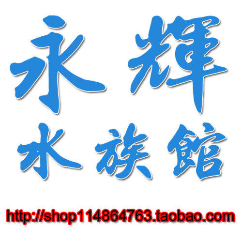 永辉水族馆 店铺LOGO
