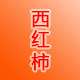 西红柿陶瓷