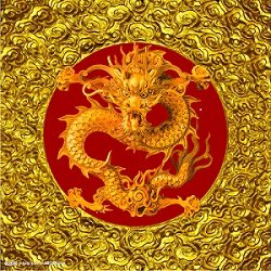 兆龙堂乐器专营店