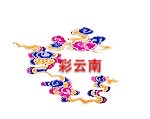 彩云南民族服装