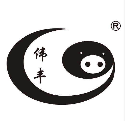 伟丰旗舰店 店铺LOGO
