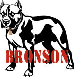 心作Bronson