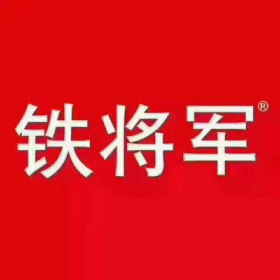 同辉铁将军汽车电子 店铺LOGO