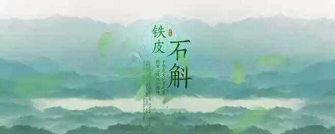 普山堂铁皮石斛