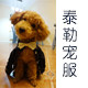 泰勒宠服 店铺LOGO