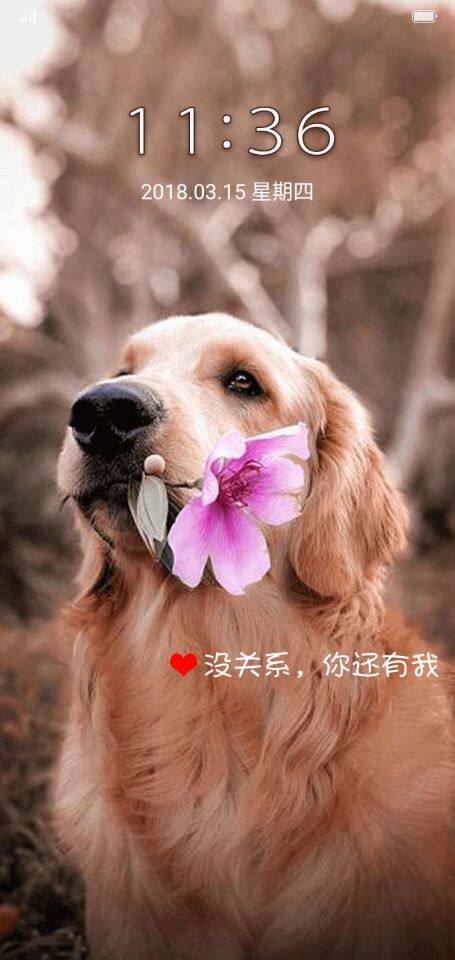 琉璃月家居商城