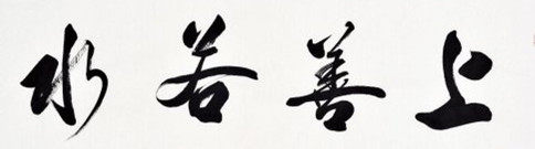 上善若水飞机模型