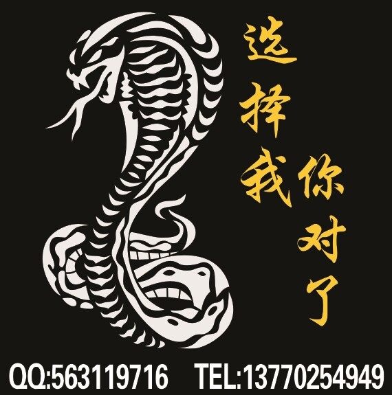 名典酷车贴