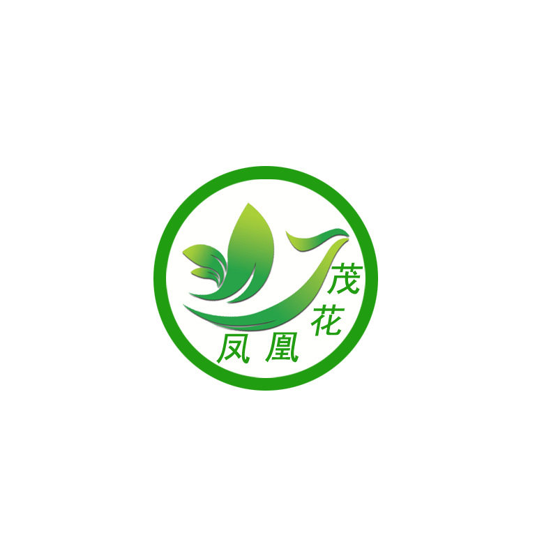 x小花多肉植物