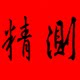精测光栅数显 店铺LOGO