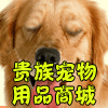 贵族宠物用品商城