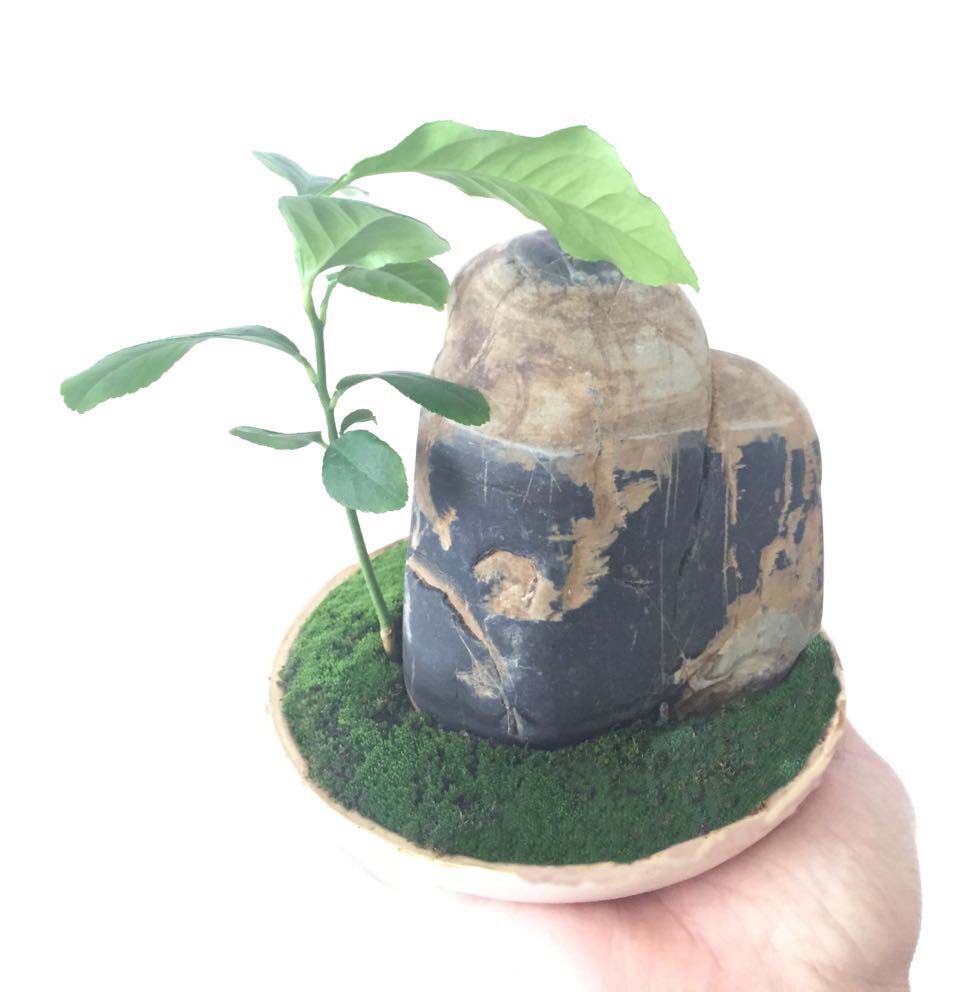 石头花匠