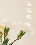 云亭诚诚包装