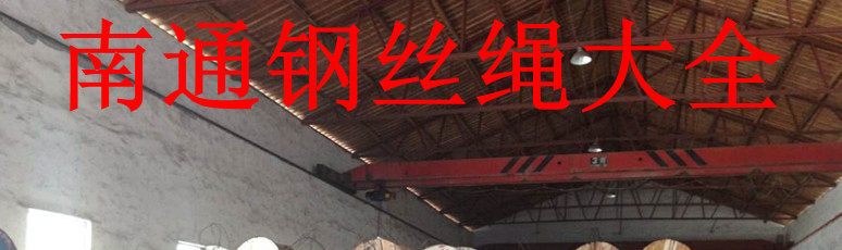 南通钢丝绳大全 店铺LOGO