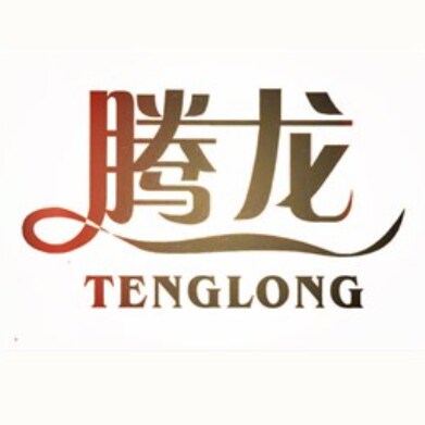 腾龙气动元件 店铺LOGO