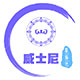 威士尼新能源