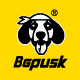 bgpusk旗舰店
