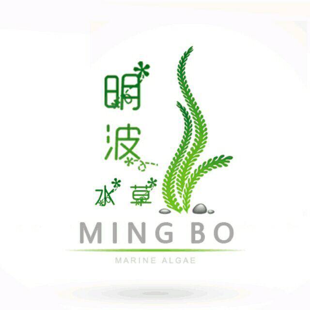 明波水草