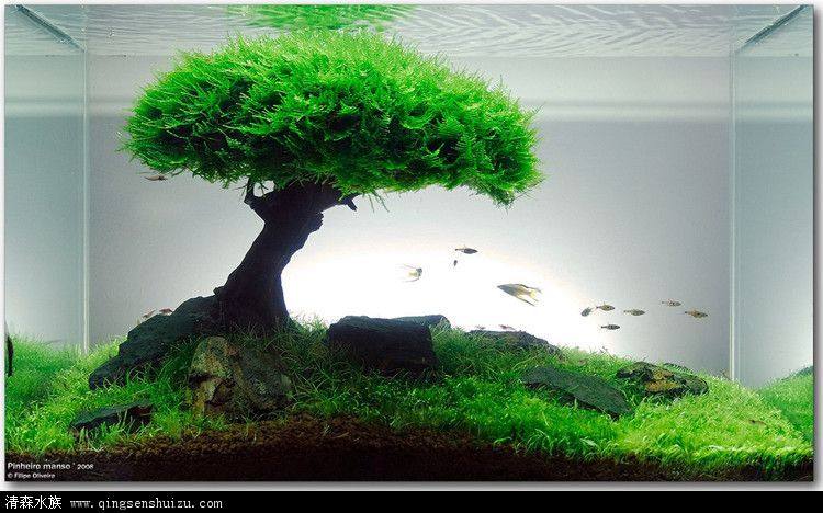 DIY水族用品店