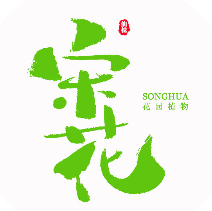 宋花