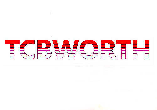 TCBWORTH航模电池工厂