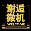 谢逅微机