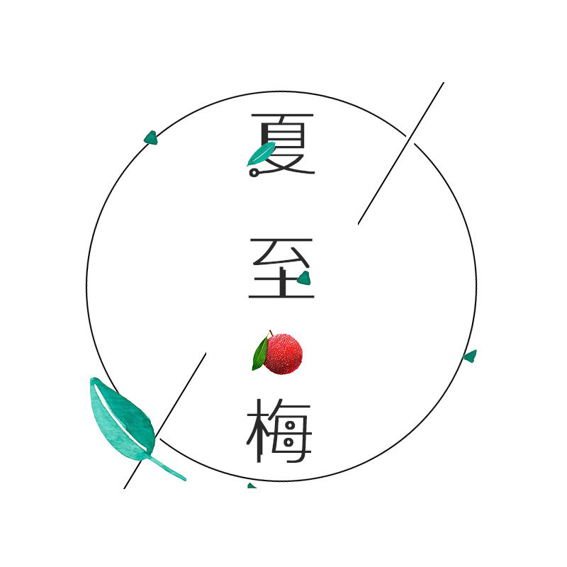 夏至梅旗舰店