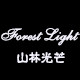 Forest Light山林光芒