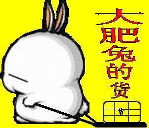 大肥兔摩托用品店