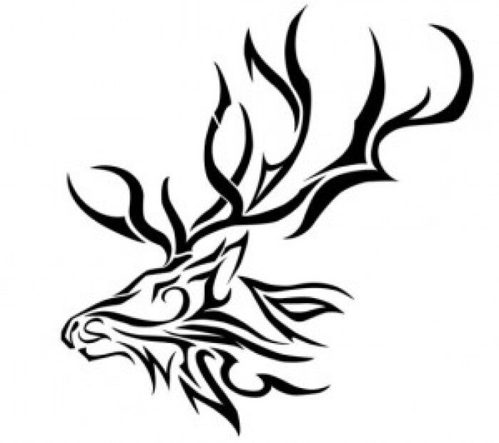 抖音种草菌 店铺LOGO