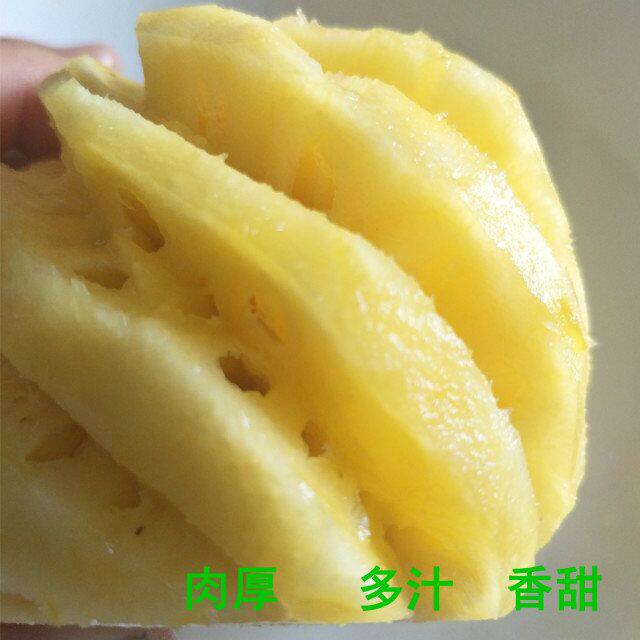 珍珍果乐园 店铺LOGO