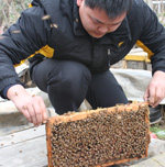 山水有情生态养蜂场