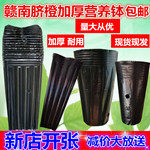 绿植营养钵 店铺LOGO