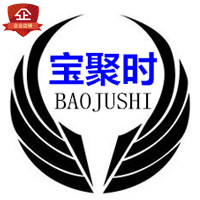 宝聚时表带