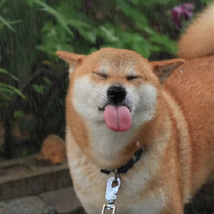 佰昇文化