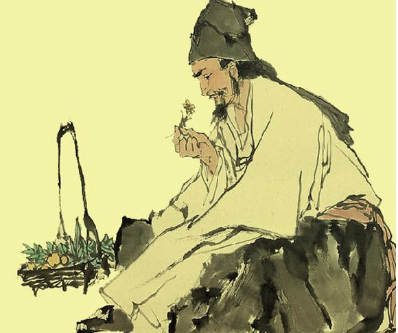 本草身体养护