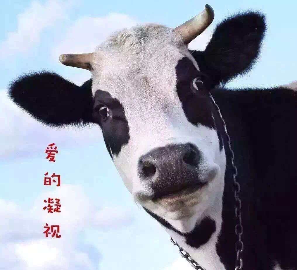 小确幸纽澳代购站