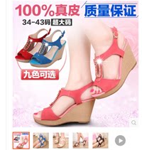 曲线美女鞋