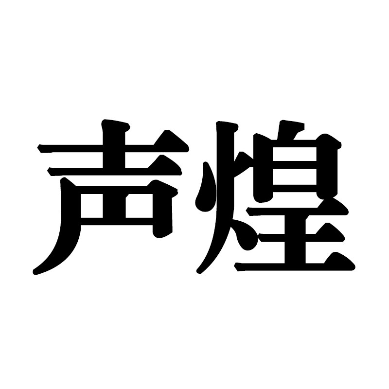 声煌电子科技有限公司