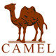 camel骆驼红企鹅专卖店